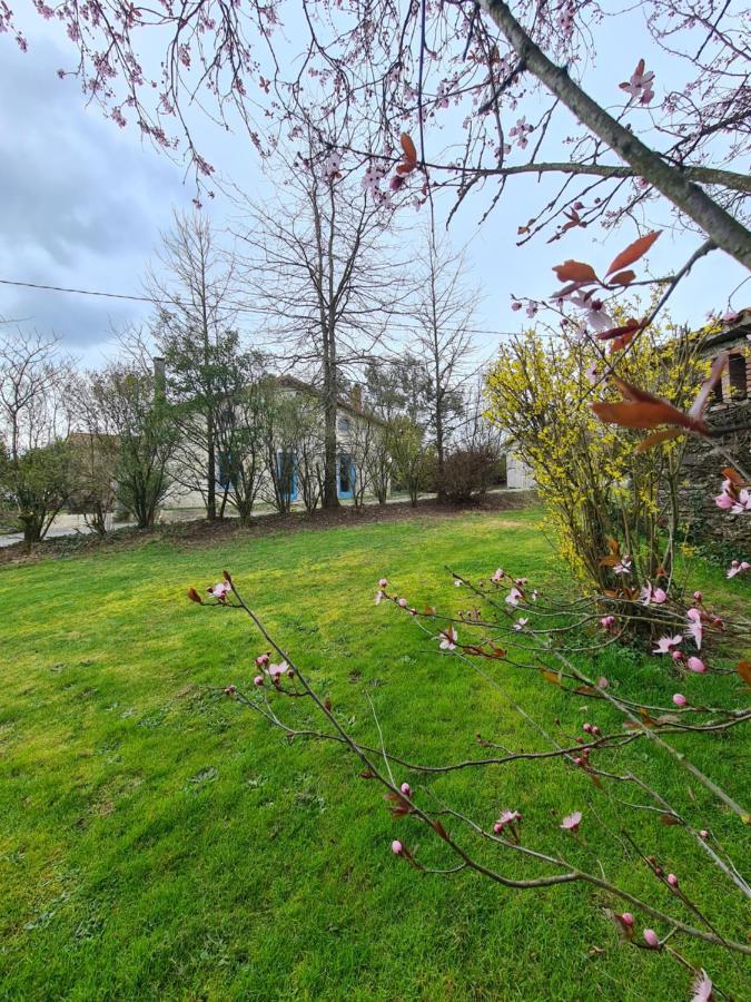 Le Terrier Maison De Campagne 250 M2 Grande Capacite 20 Couchages, 4500M2 De Terrain Villa Saint-Pierre-du-Chemin Dış mekan fotoğraf