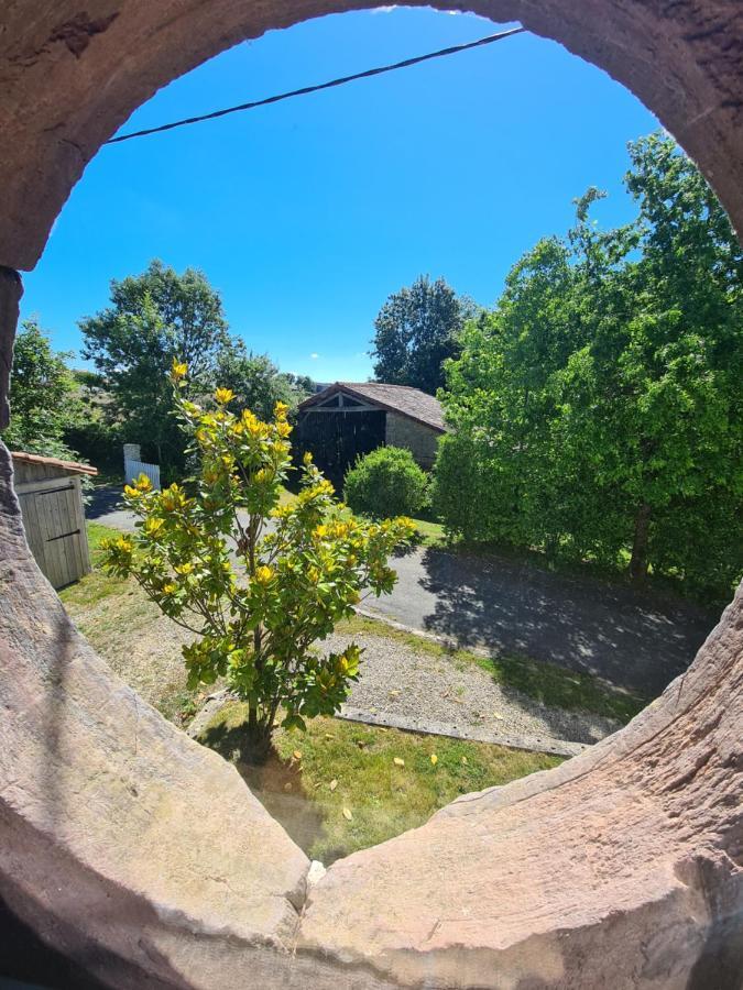 Le Terrier Maison De Campagne 250 M2 Grande Capacite 20 Couchages, 4500M2 De Terrain Villa Saint-Pierre-du-Chemin Dış mekan fotoğraf